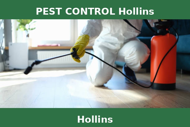 PEST CONTROL Hollins